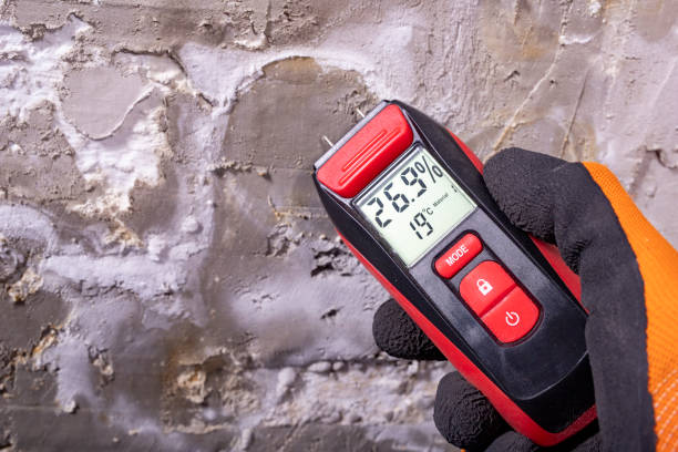 Best Mold Inspection  in Wellman, IA